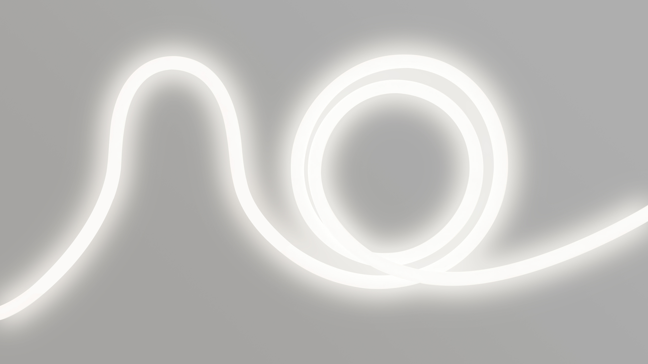 NEON O.48V 2000 2823 Центрсвет